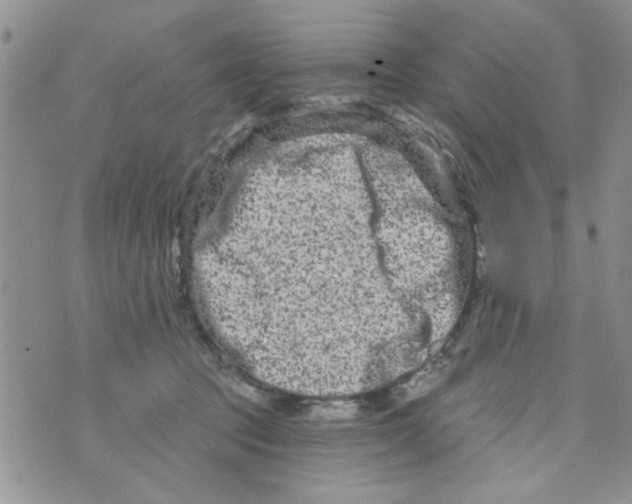 X0000073730369200608311851