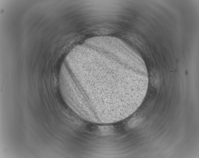 X0000073730371200608311851