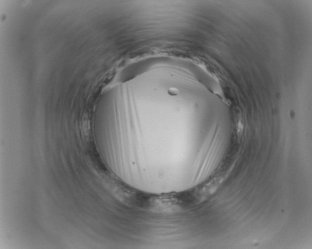 X0000073730372200608311851