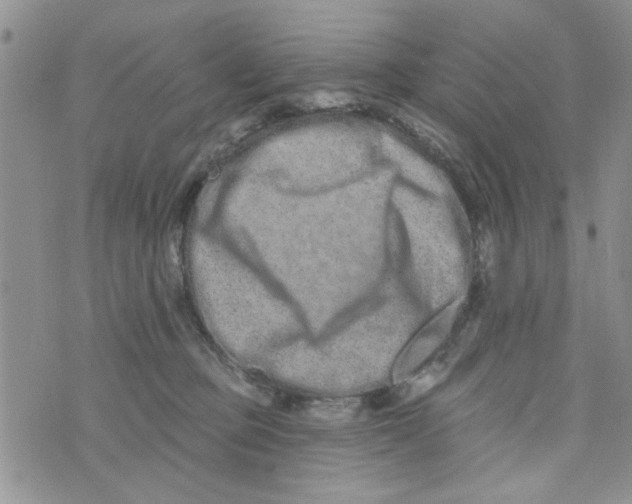 X0000073730373200608311851