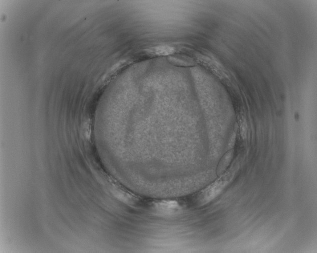 X0000073730374200608311851