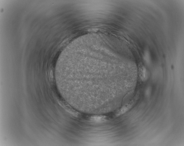 X0000073730375200608311851