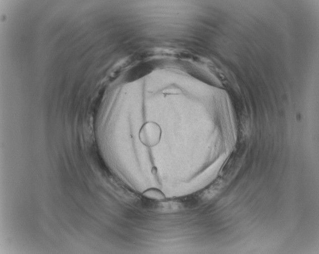 X0000073730376200608311851