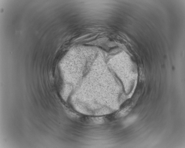 X0000073730377200608311851