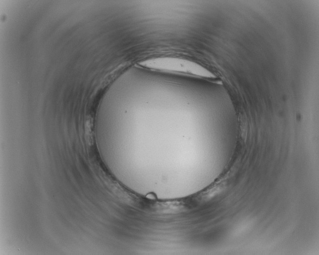 X0000073730378200608311851