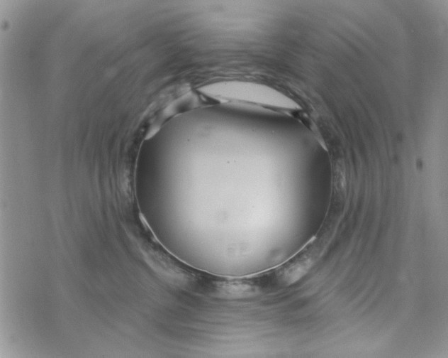 X0000073730380200608311851