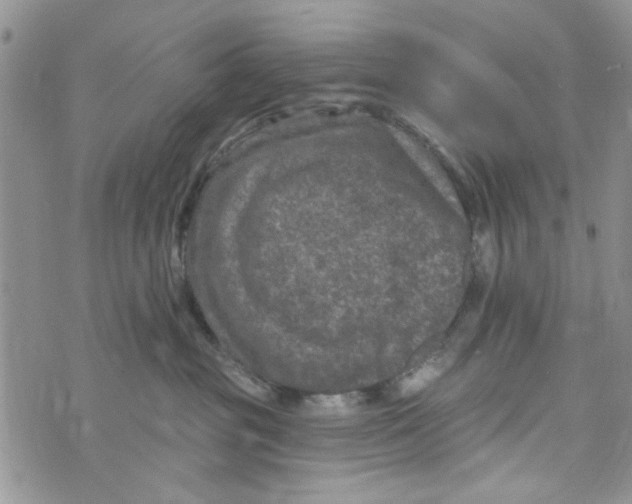 X0000073730381200608311851