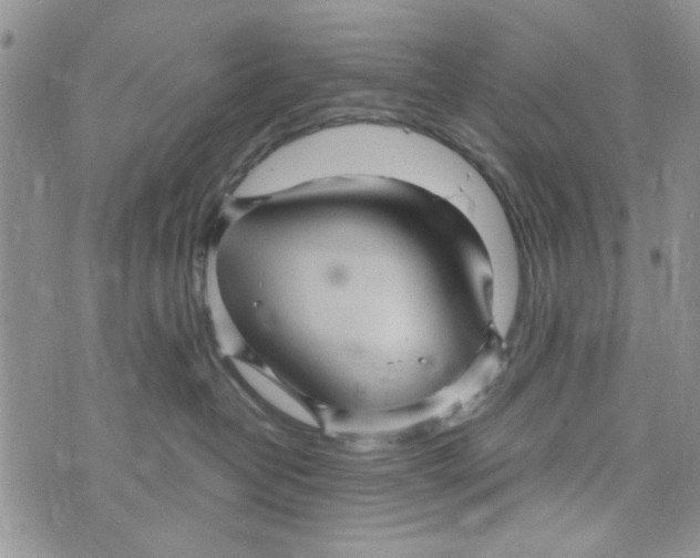 X0000073730382200608311851