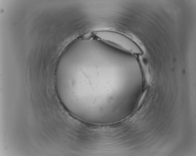 X0000073730385200608311850