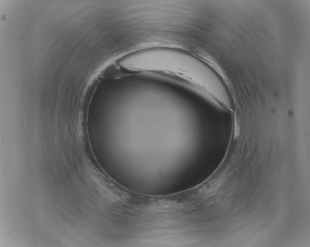 X0000073730387200608311850