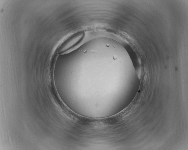 X0000073730392200608311850