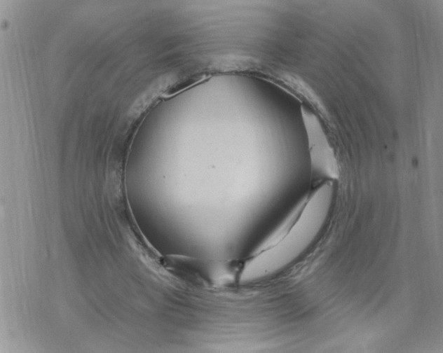 X0000073730393200608311850