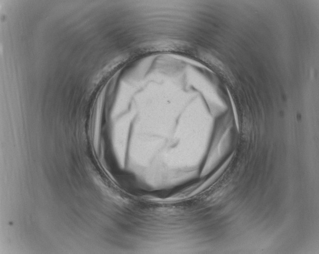 X0000073730394200608311850