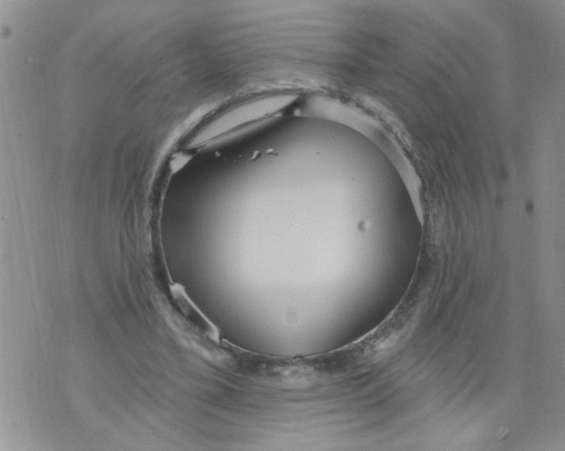 X0000073730395200608311850