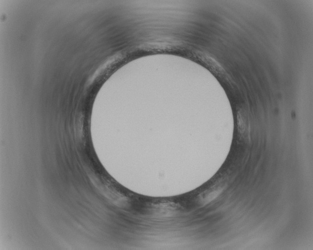 X0000073730396200608311850