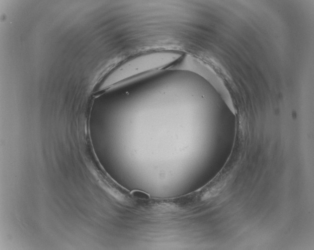 X0000073730397200608311850