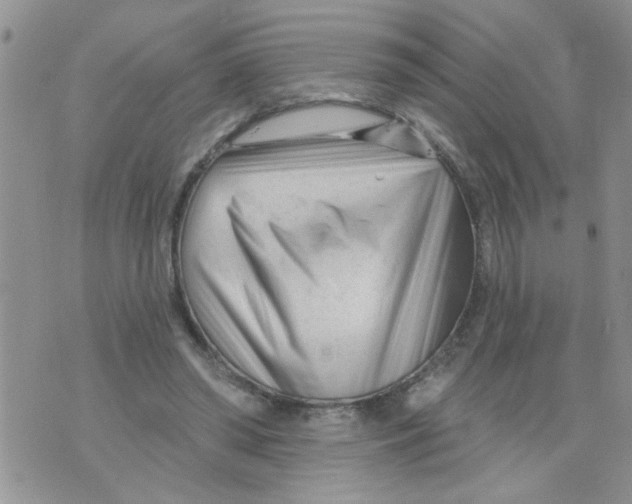 X0000073730398200608311850