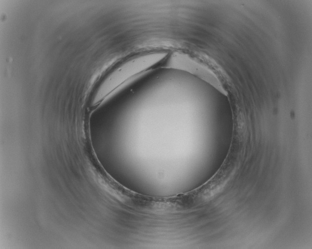 X0000073730399200608311850