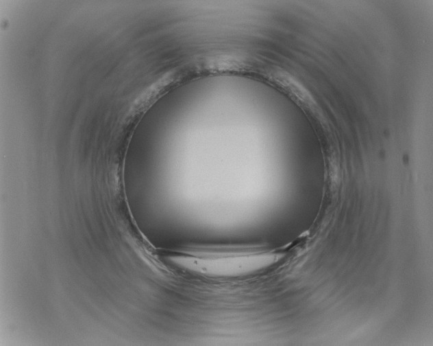 X0000073730401200608311850