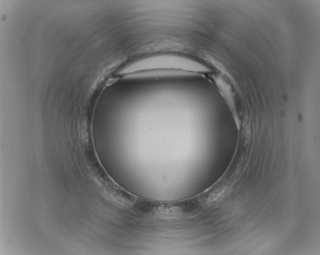 X0000073730403200608311850