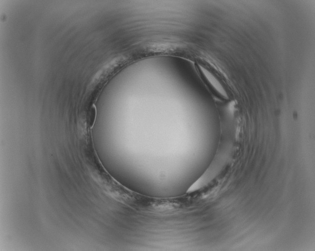 X0000073730407200608311850