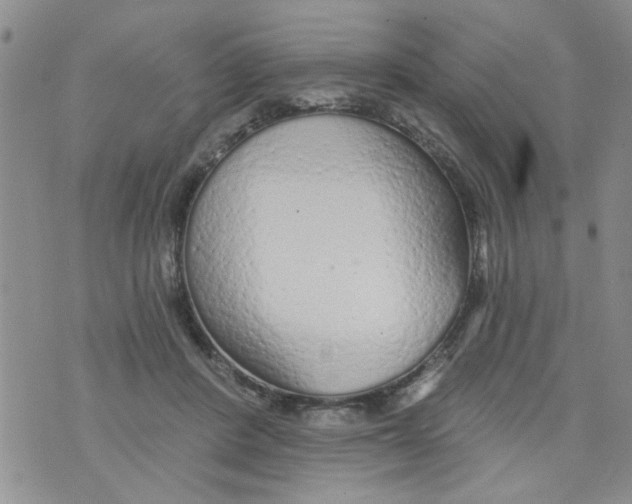 X0000073730408200608311850