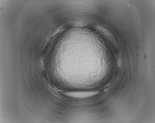 X0000073730409200608311850