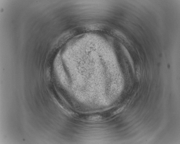 X0000073730410200608311850