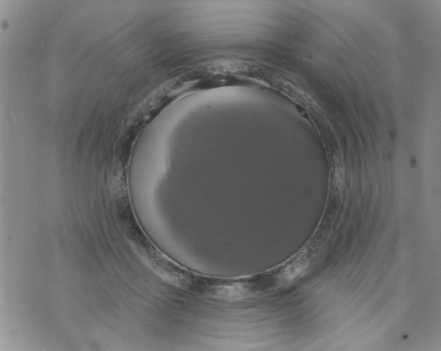 X0000073730411200608311850