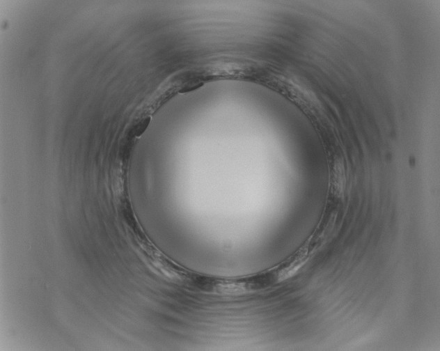 X0000073730413200608311850