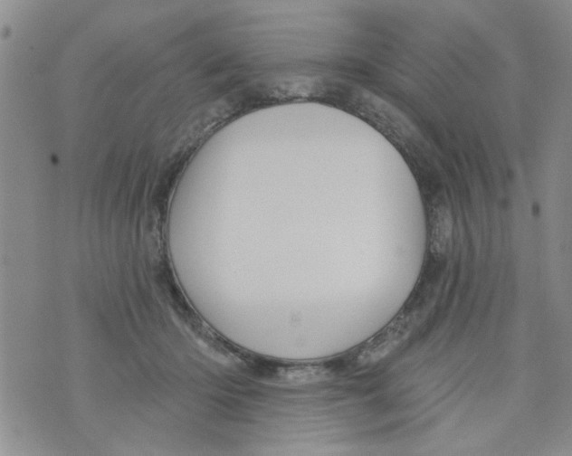 X0000073730414200608311850