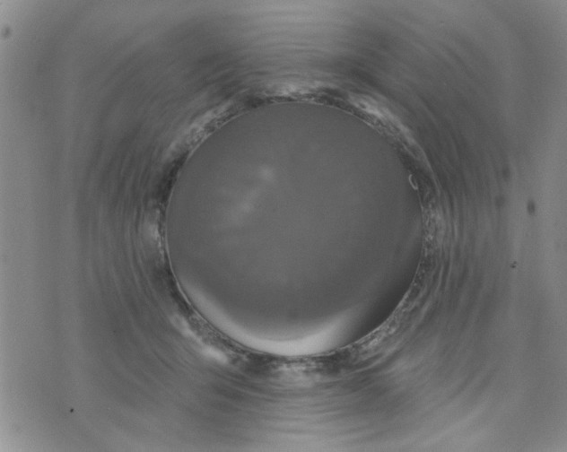 X0000073730415200608311850