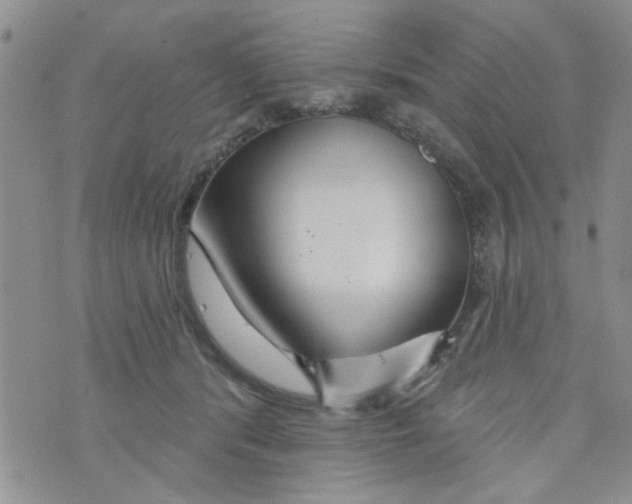 X0000073730416200608311850