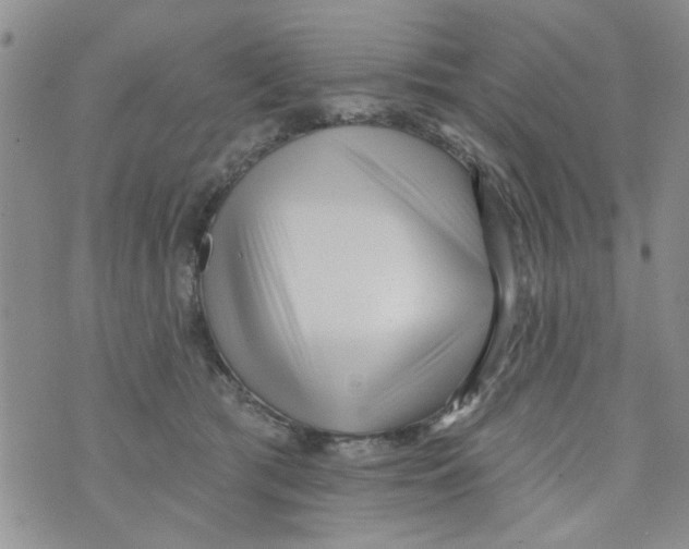 X0000073730417200608311850