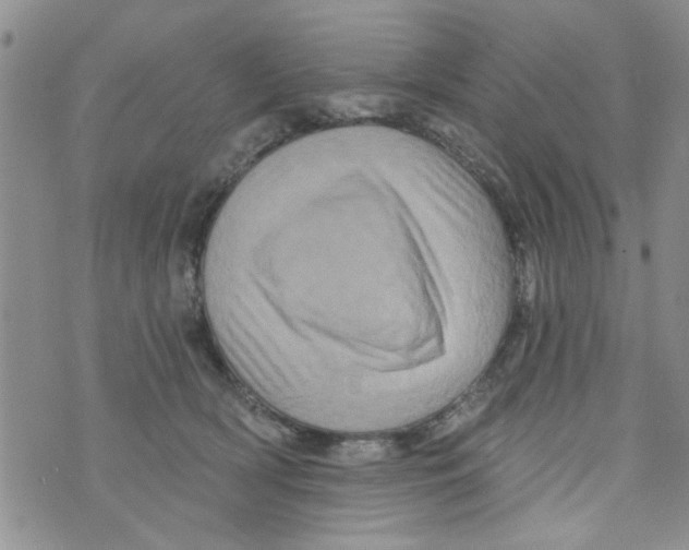 X0000073730418200608311850