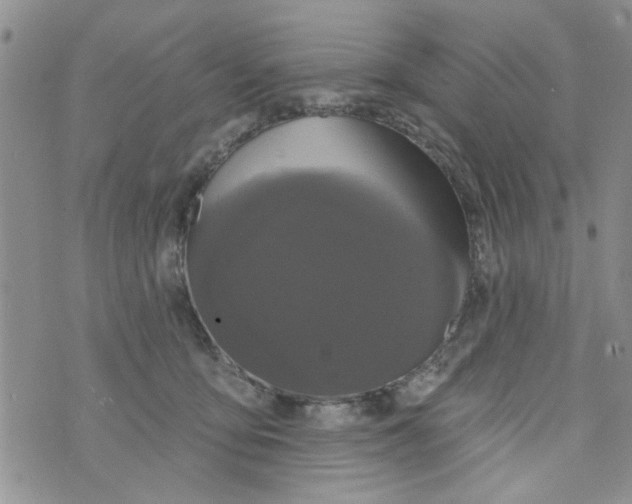 X0000073730419200608311850