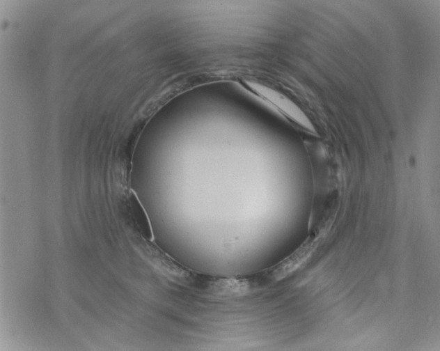 X0000073730421200608311850