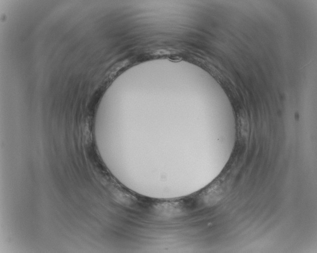 X0000073730422200608311850