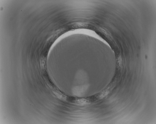 X0000073730423200608311850