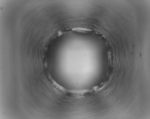 X0000073730424200608311850