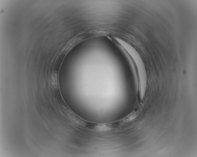 X0000073730425200608311850