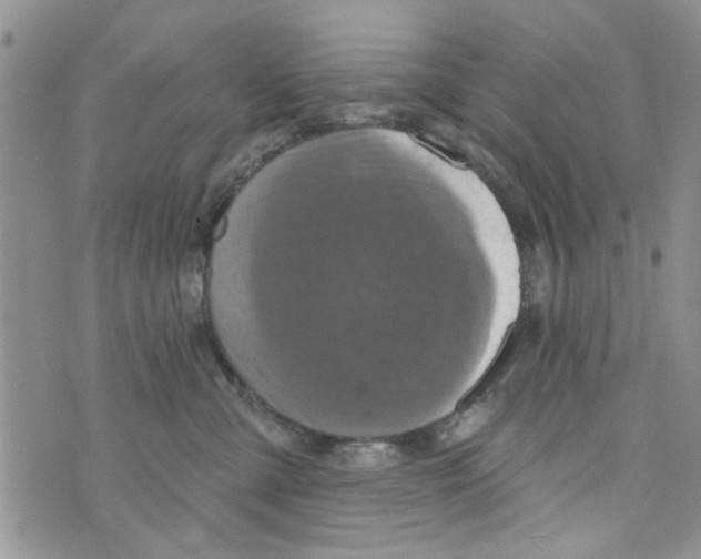 X0000073730427200608311850