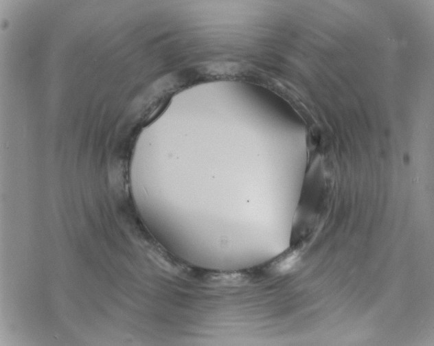 X0000073730428200608311850