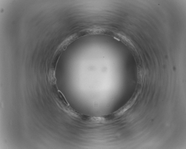 X0000073730429200608311850