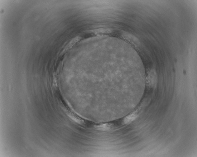 X0000073730430200608311850