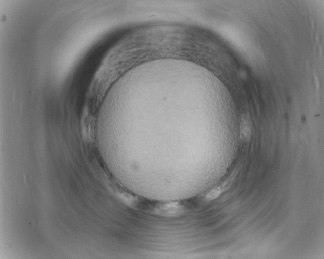 X0000073730431200608311849