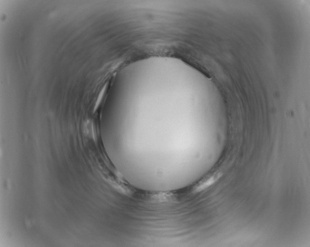 X0000073730432200608311849