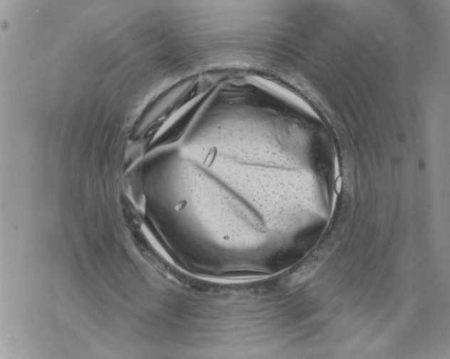 X0000073730434200608311849