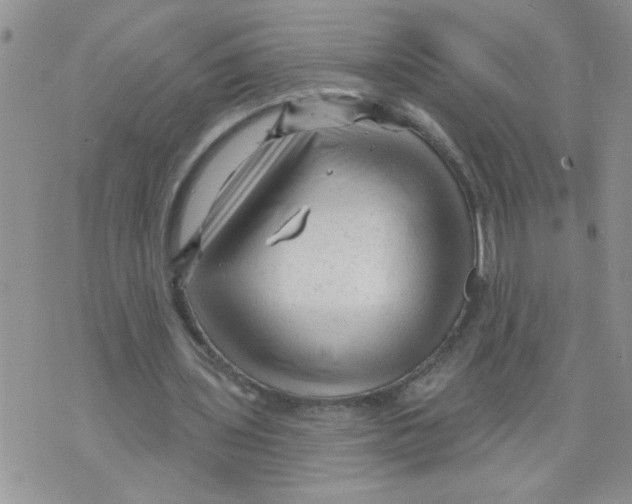 X0000073730435200608311849