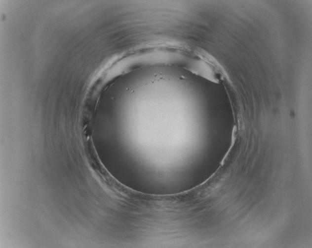 X0000073730436200608311849